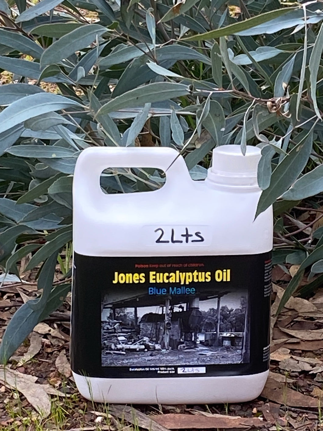 Jones's Eucalyptus Oil 2L