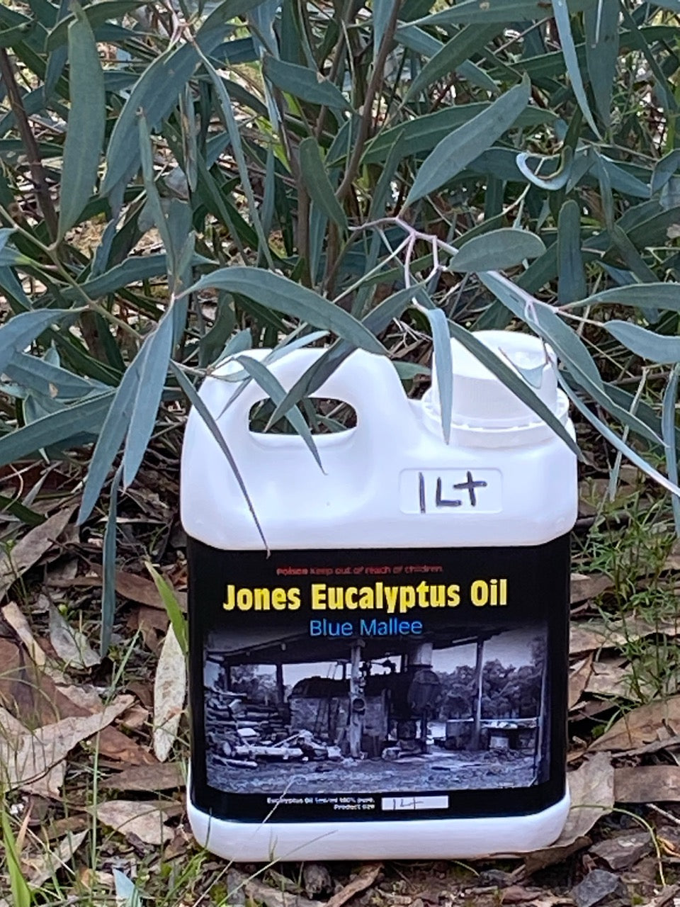 Jones's Blue Mallee Eucalyptus Oil 1L